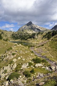 France, Hautes Pyrenees, Saint Lary Soulan and Vielle-Aure, hike on a variant of the GR10 between the Portet pass and the Bastan lakes on the edge of the Neouvielle nature reserve, middle Bastan lake and the Pic de Bastan in the background