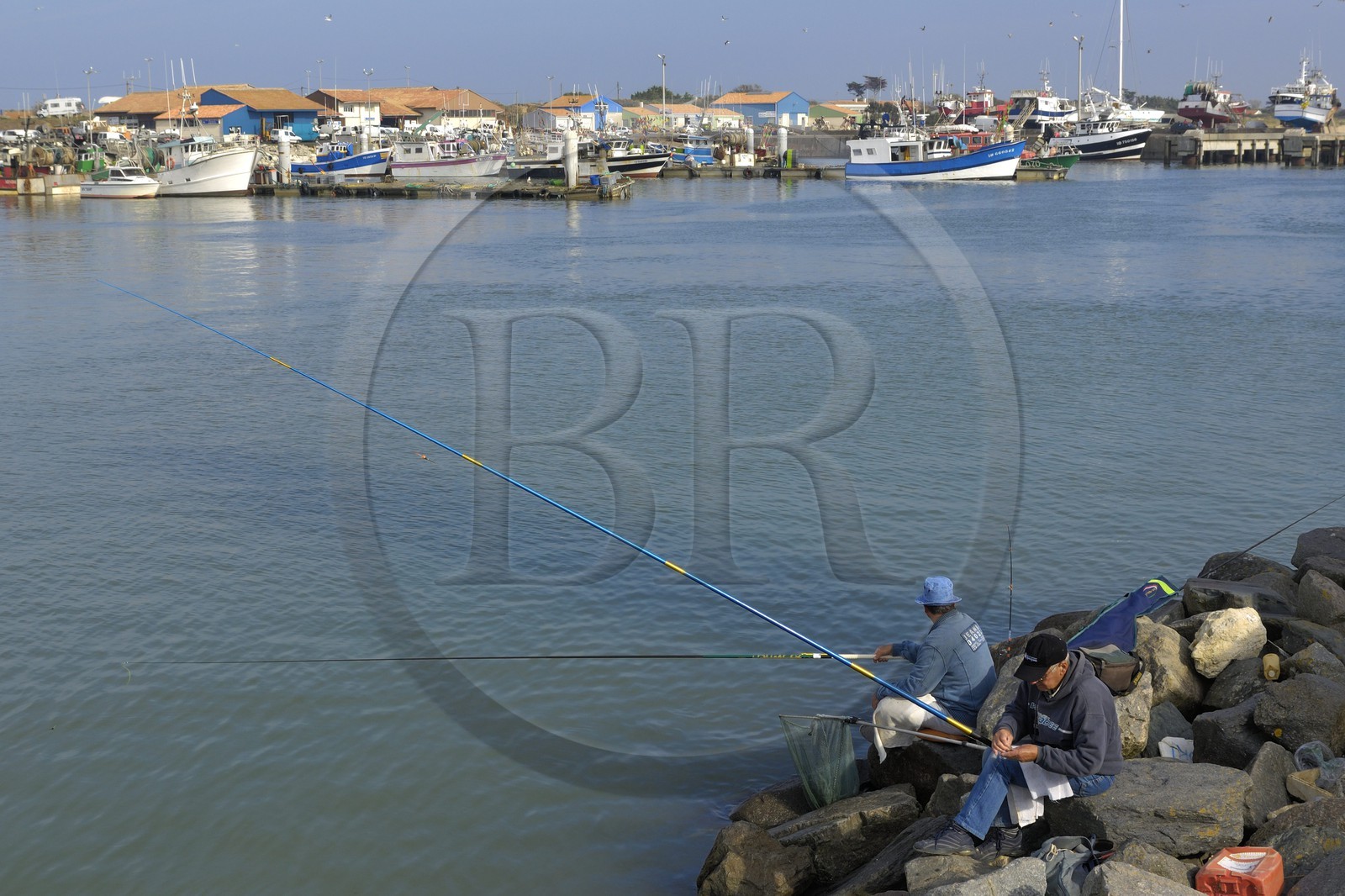 France, Charente-Maritime (17), Ile d'Oléron, port de la Cotinière, pêcheurs