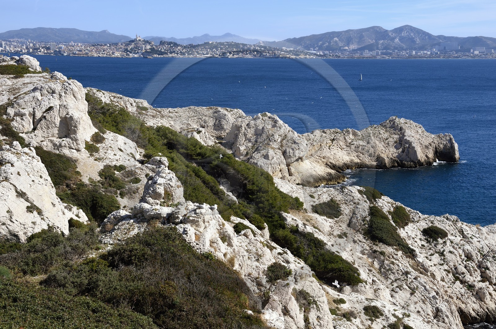France, Bouches-du-Rhône (13), Marseille, Parc National des Calanques, Archipel des Iles du Frioul, Ile de Pomègues et la skyline de Marseille en arrière plan