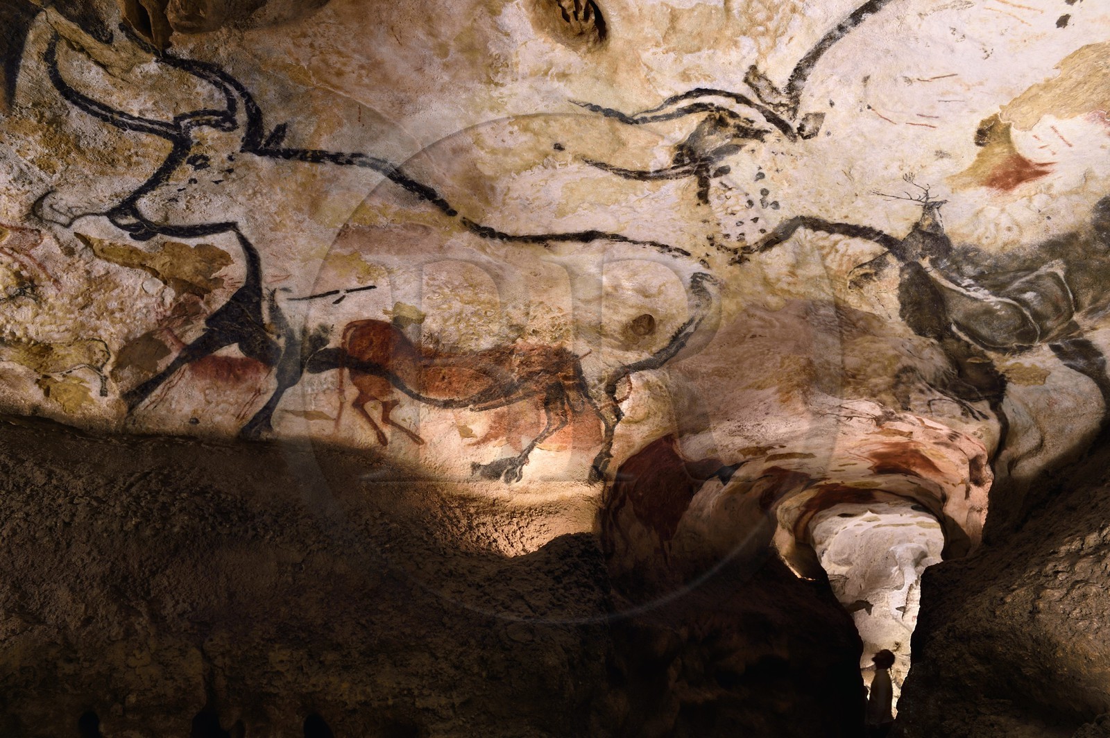 France, Dordogne, Perigord Noir, Vezere Valley, Montignac sur Vezere, Lascaux II caves, reconstitution of the prehistoric site and decorated cave listed as World Heritage by UNESCO, Aurochs Horses and Deer