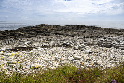 France, Finistère, Iroise Sea, Molene Island, archaeological site of Beg ar Loued housing the remains of a house built 2000 BC