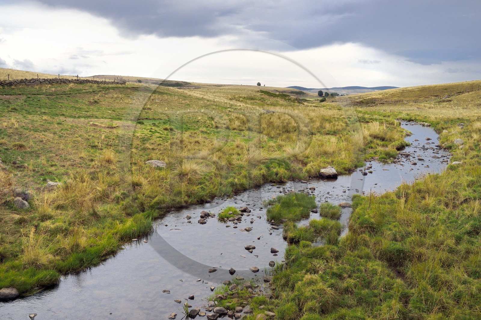 France, Cantal (15), Parc naturel régional de l'Aubrac, ruisseau Le Rioumau sur le plateau de l'Aubrac vers Saint-Urcize