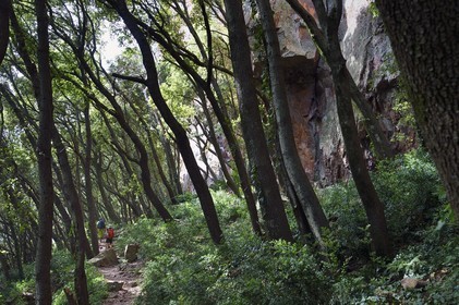 France, Var (83), entre Bagnols-en-Forêt et Roquebrune-sur-Argens, randonnée dans les Gorges du Blavet