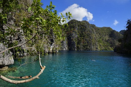 Philippines, Calamian Islands dans le nord de Palawan, Coron Island Natural Biotic Area, le lac Kayangan entouré de falaises abruptes et formations rocheuses karstique en calcaire du Permien
