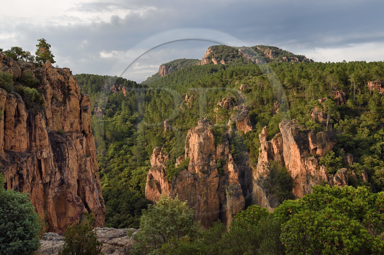 France, Var (83), entre Bagnols-en-Forêt et Roquebrune-sur-Argens, les Gorges du Blavet