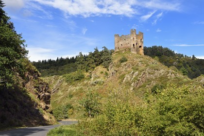 France, Cantal (15), Gorges de la Truyère, Alleuze, ruines féodales perchées du château fort d'Alleuze du XIIIe siècle reconstruit en 1405