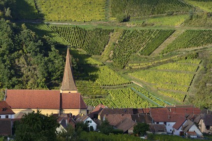 France, Haut Rhin, the Alsace Wine Route, Niedermorschwihr, the village in the vineyard and its church with a twisted steeple