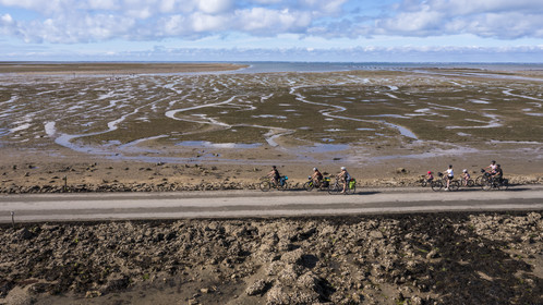 France, Vendée (85), île de Noirmoutier, Barbatre, cyclistes sur le passage du Gois, chaussée submersible qui relie l'île au continent à marrée basse (vue aérienne)