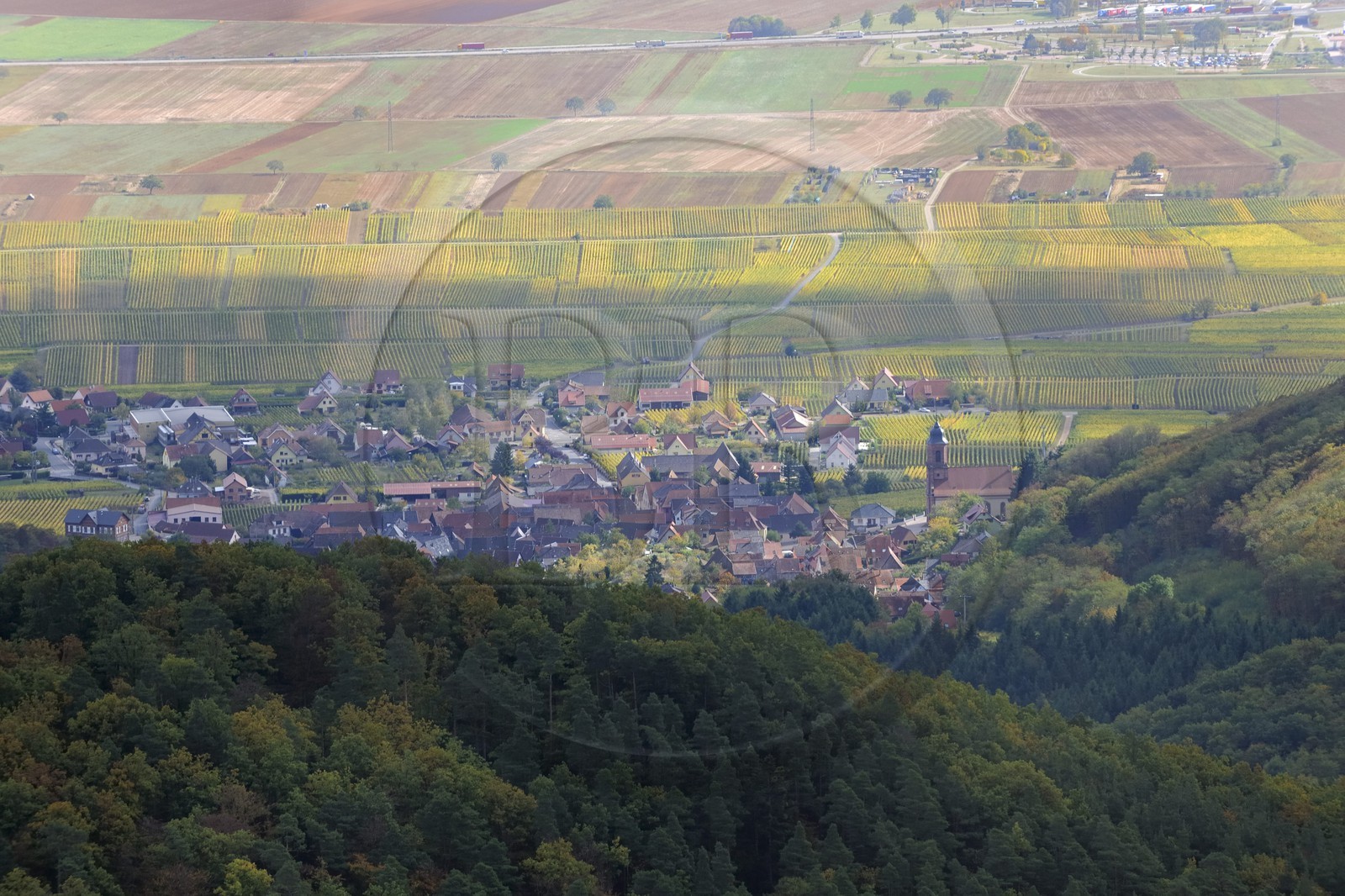 France, Bas-Rhin (67), Orschwiller et son vignoble depuis le château du Haut-Koenigsbourg