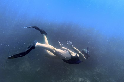 Sultanat d'Oman, gouvernorat de Mascate, réserve naturelle des Iles Daymaniyat, snorkeling