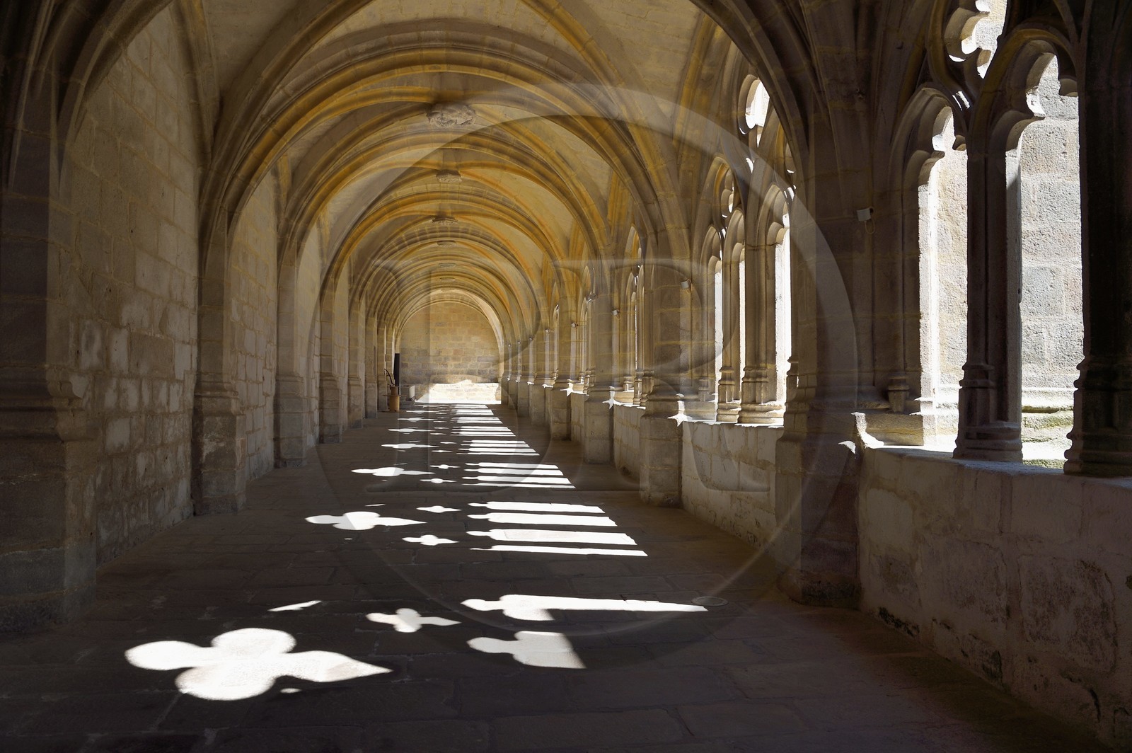 France, Haute Loire, Livradois Forez Regional Natural Park (Parc naturel régional Livradois-Forez), the Chaise-Dieu, Saint Robert abbey, the cloister adjoining the abbey church