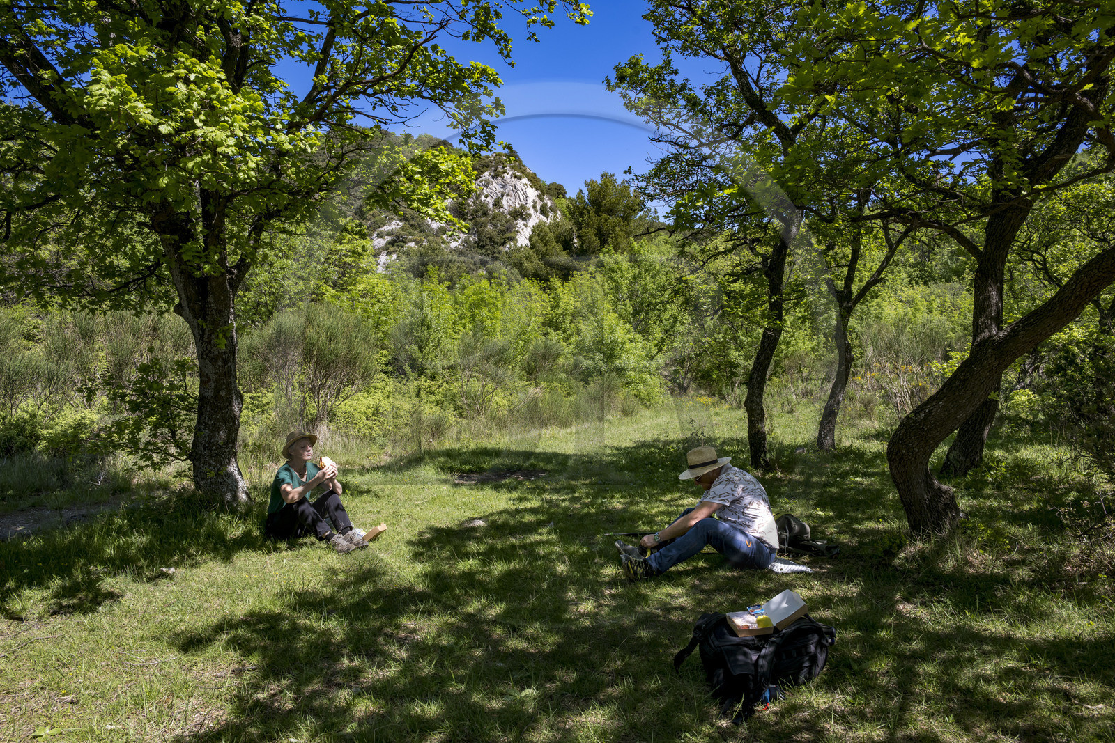 France, Vaucluse (84), Dentelles de Montmirail, Gigondas, randonneurs pique niquant en contrebas du Pas de l'Aigle au coeur du massif