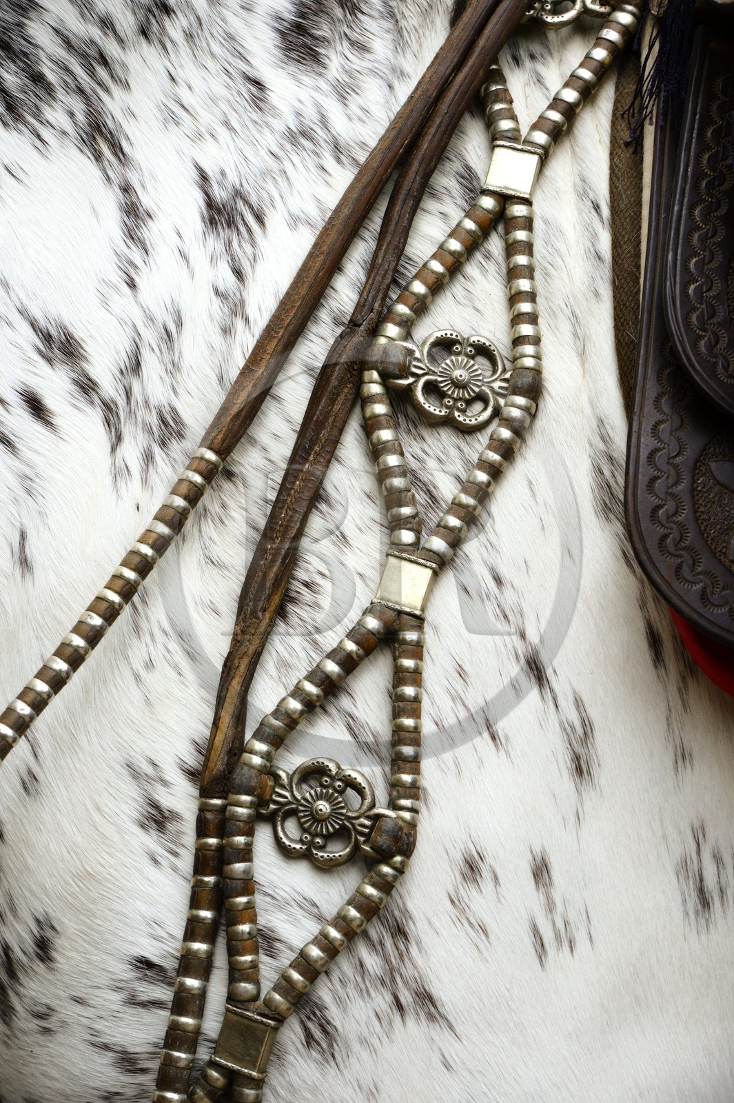 Argentina, Buenos Aires Province, San Antonio de Areco, Tradition Day festival (Dia de Tradicion), detail of a braided leather and silver harness
