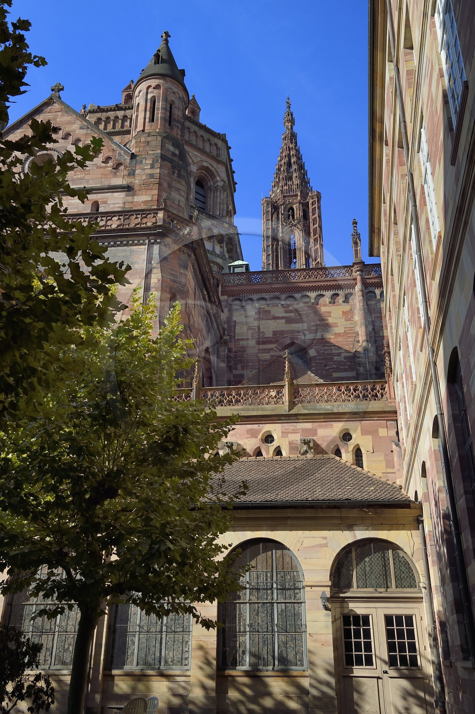France, Bas-Rhin (67), Strasbourg, vieille ville classée au Patrimoine Mondial de l'UNESCO, la cathédrale Notre-Dame, le Chevet roman vu depuis le séminaire Sainte-Marie-Majeure