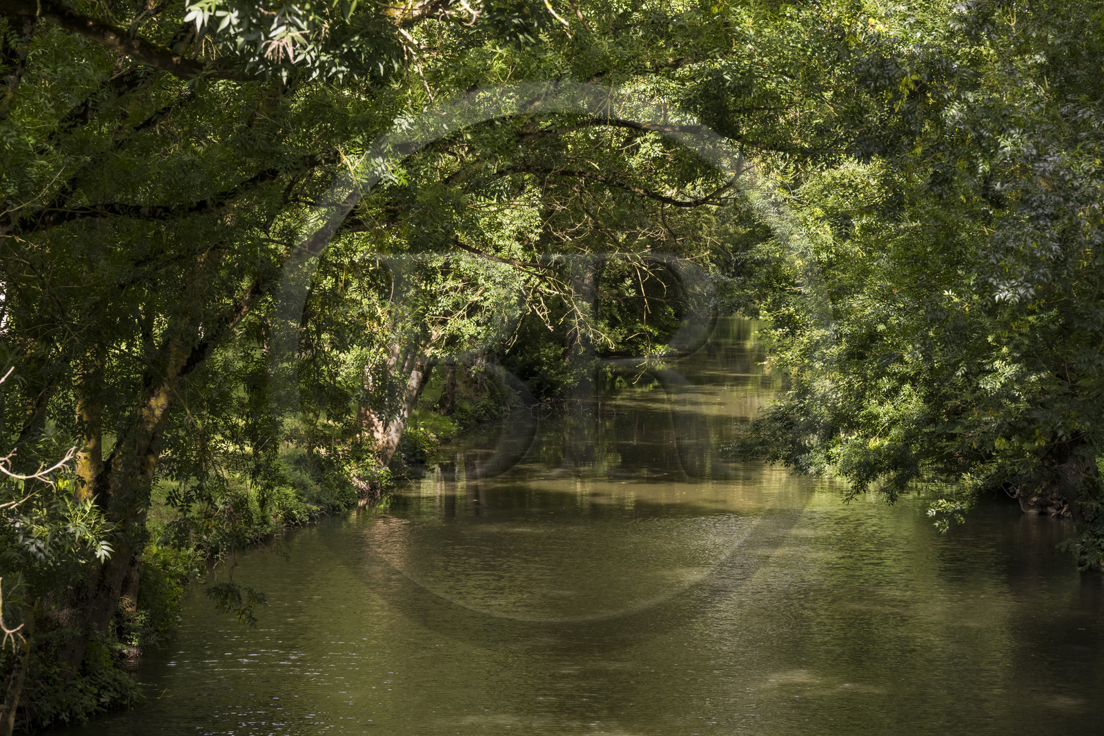 France, Deux-Sèvres (79), le Marais Poitevin, la Venise Verte, Le Vanneau-Irleau, un des innombrables canaux