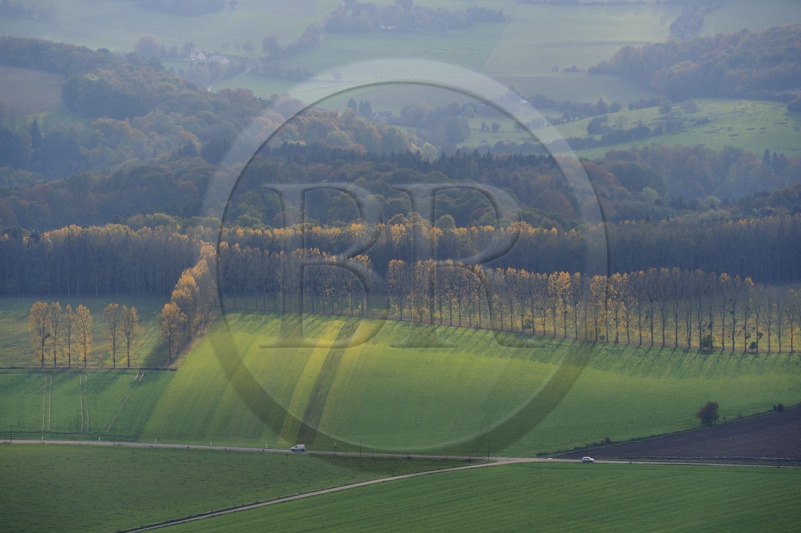 France, Seine-Maritime (76), route de campagne normande vers Bois-Héroult (vue aérienne)