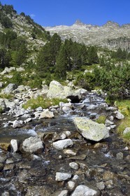 France, Hautes-Pyrénées (65), Saint-Lary-Soulan, Réserve naturelle nationale du Néouvielle, randonnée des lacs du Neouvielle, torrent au dessus des Laquettes