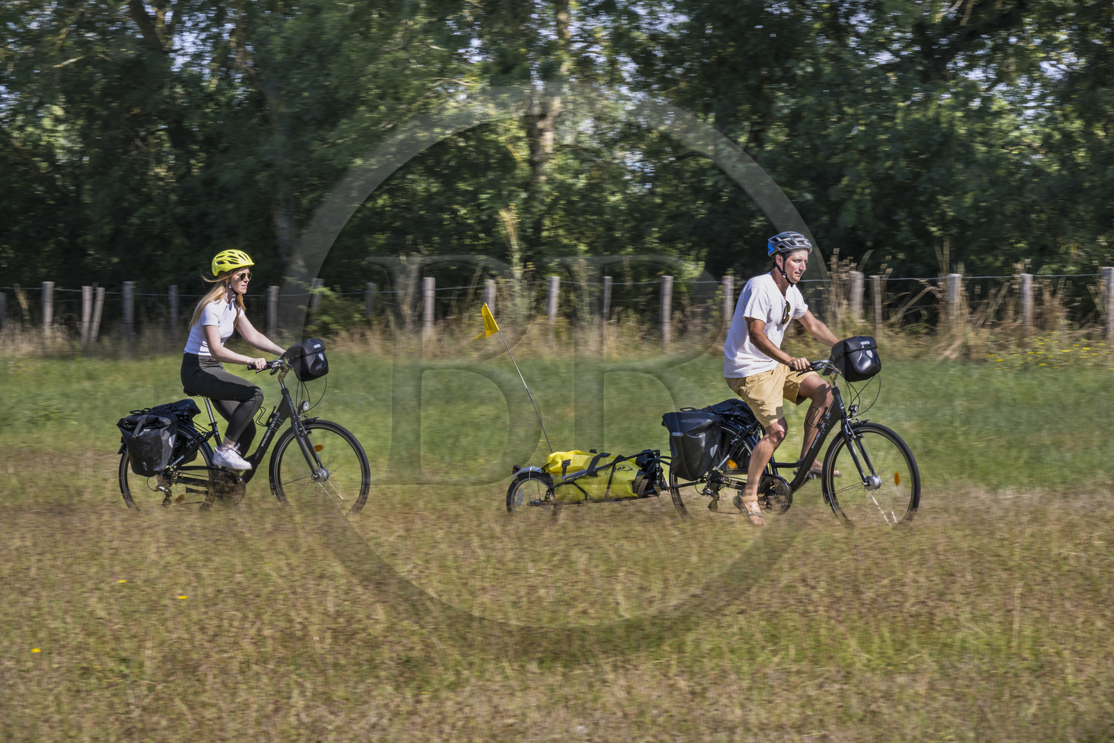 France, Maine-et-Loire (49), vallée de la Loire classée au Patrimoine Mondial par l'UNESCO, Saumur vers Saint-Hilaire, randonnée à bicyclette sur les berges de la Loire, vélo avec une remorque transportant le matériel de camping