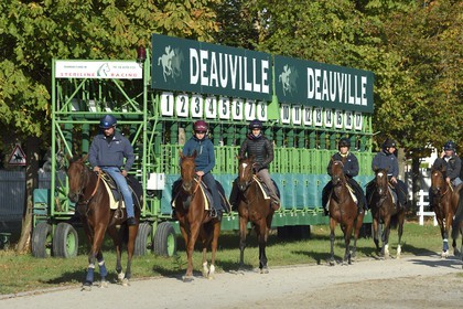 France, Calvados, Pays d'Auge, Deauville, Racecourse of Deauville-La Touques, riders in front of the starting stalls