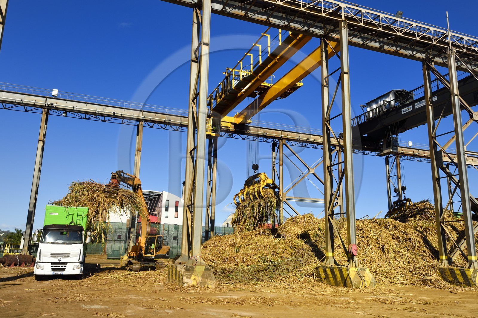 France, Ile de la Reunion, Saint-Pierre, Grands Bois, un des 11 centres de réception et de collecte de la canne à sucre aussi appelés Balance, les tracteurs amènent depuis les champs la canne dans des remorques, elle est ensuite pesée et chargée dans de grands camions appelés cachalots pour être acheminée vers l'usine sucrière du Gol