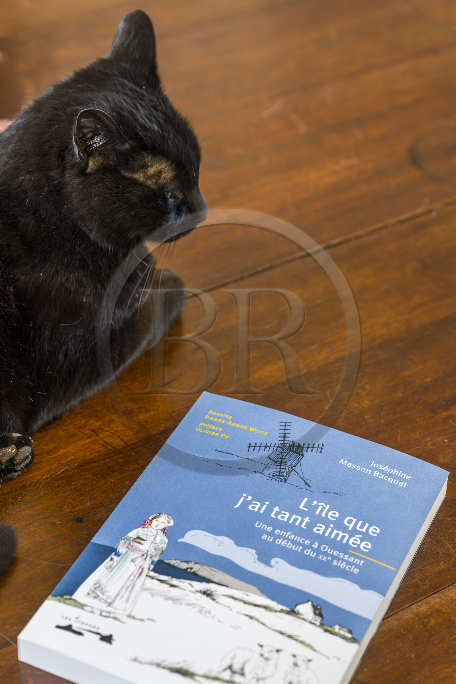 France, Finistère (29), Mer d'Iroise, Ile d'Ouessant, hameau de Keranchas, la maison de l'éditrice Helene Prigent
