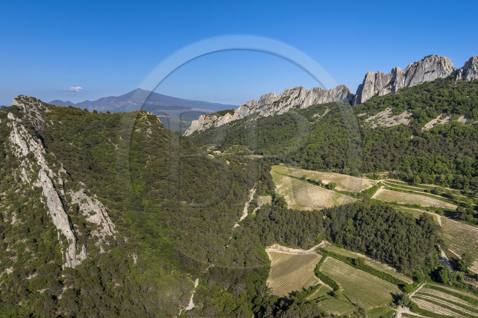 France, Vaucluse (84), Dentelles de Montmirail, Gigondas, la montagne des Dentelles Sarrasines et les vignobles en restanques au col du Cayron, le Mont Ventoux en arrière plan (vue aérienne)