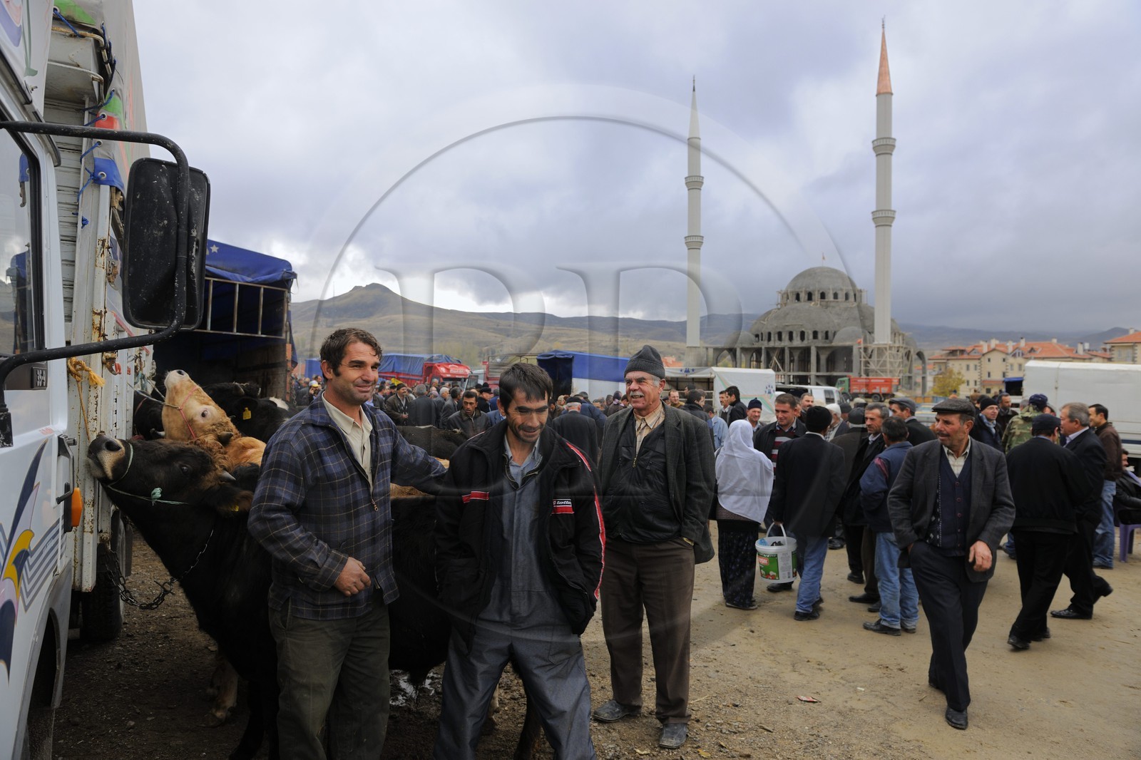 Turquie, Anatolie Centrale, province de Nevsehir, Cappadoce classée Patrimoine Mondial de l'UNESCO, marché aux bestiaux d' Ürgüp