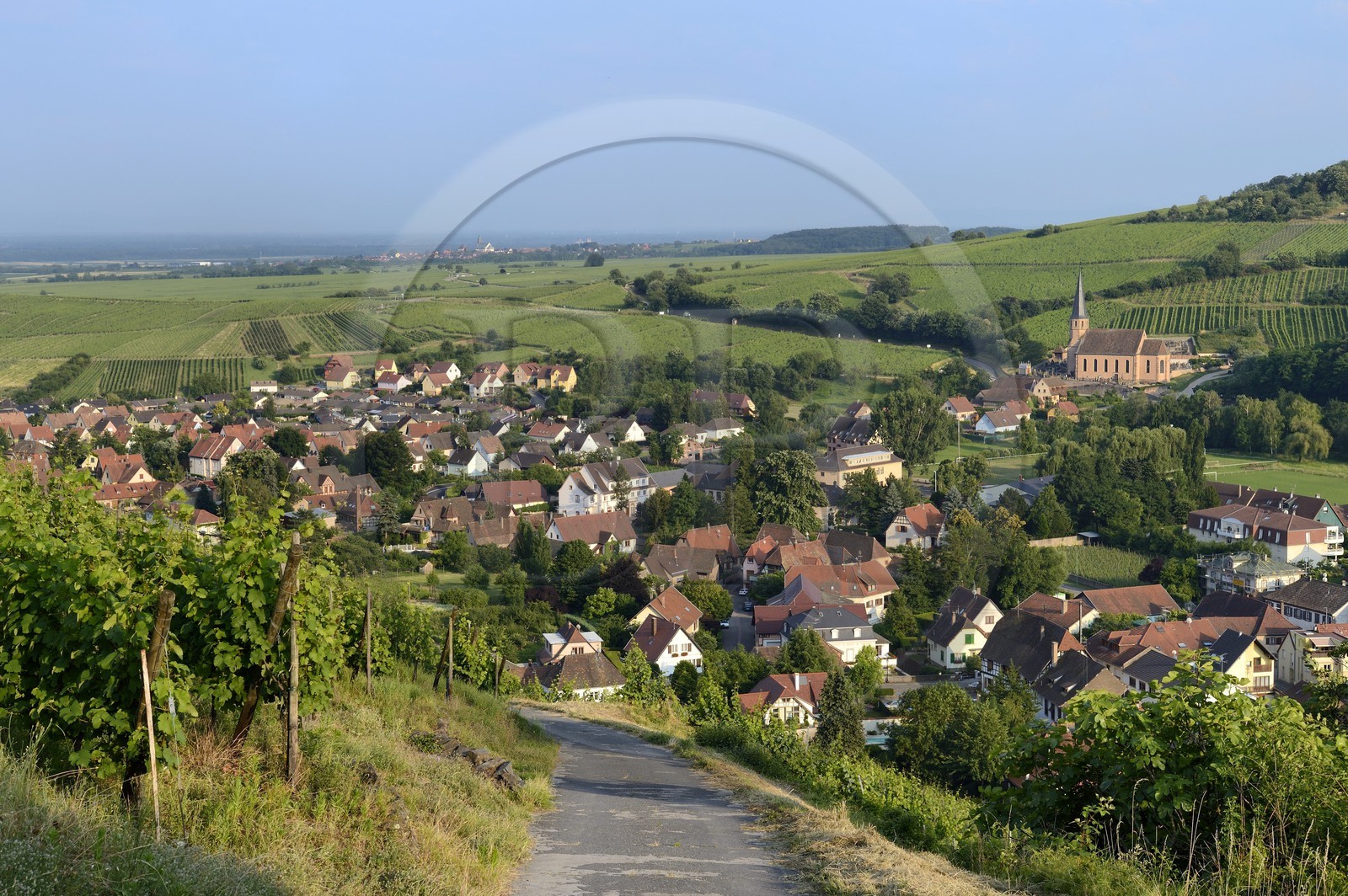 France, Bas-Rhin (67), Route des Vins d'Alsace, Andlau, la chapelle Saint-André et le vignoble