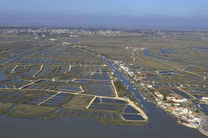 France, Charente-Maritime (17), bassin de Marennes-Oléron, Marennes, Claires et port de la Cayenne (vue aérienne)