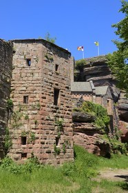 France, Bas Rhin, Saverne, Haut Barr castle dated 11th to 14th century