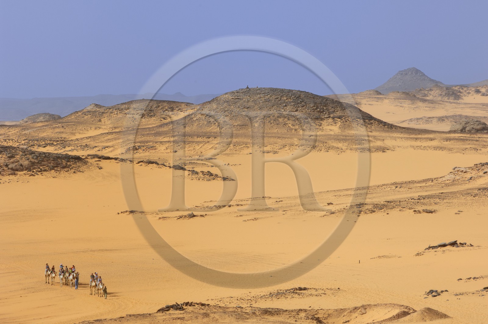 Egypte, Haute Egypte, Lac Nasser, désert de Nubie, site de Ouadi es-Seboua ou vallée des lions, caravane de dromadaires