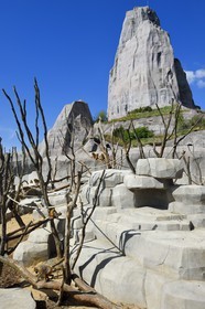 France, Paris (75), Le Parc zoologique de Paris (Zoo de Vincennes), la biozone Sahel-Soudan, babouins de Guinée (Papio papio) dans un vaste enclos sous le Grand Rocher qui est l’emblème du zoo depuis 1934