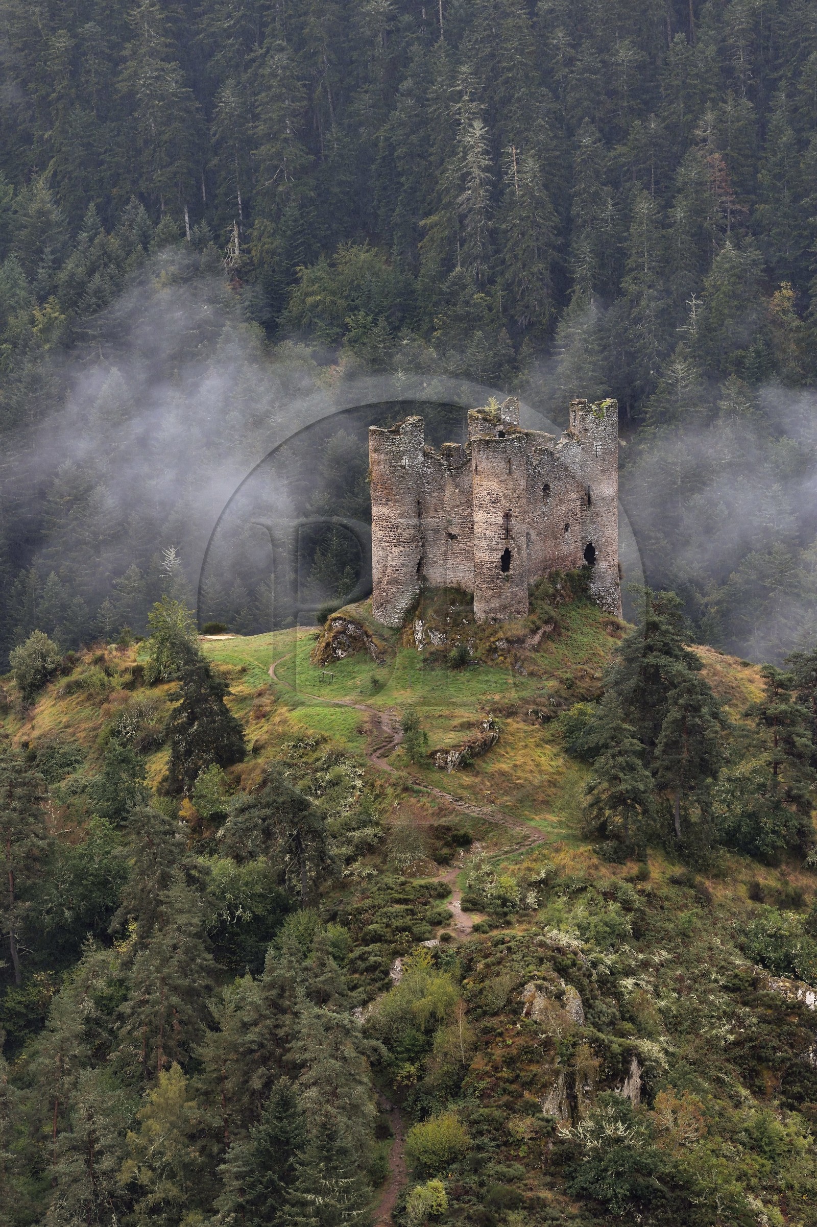 France, Cantal (15), Gorges de la Truyère, Alleuze, ruines féodales perchées du château fort d'Alleuze du XIIIe siècle reconstruit en 1405