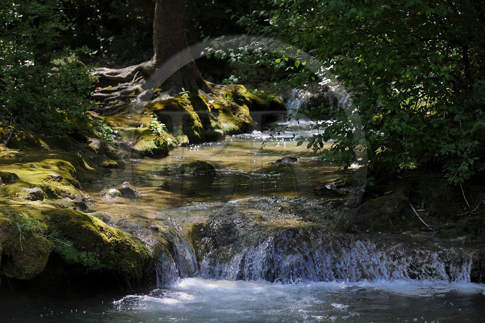 France, Var (83), Provence Verte, Tourves, rivière du Caramy dans les Gorges du Caramy