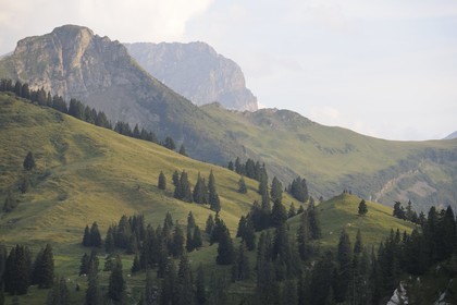 Suisse, canton de Vaud, Les Diablerets au Col de la Croix