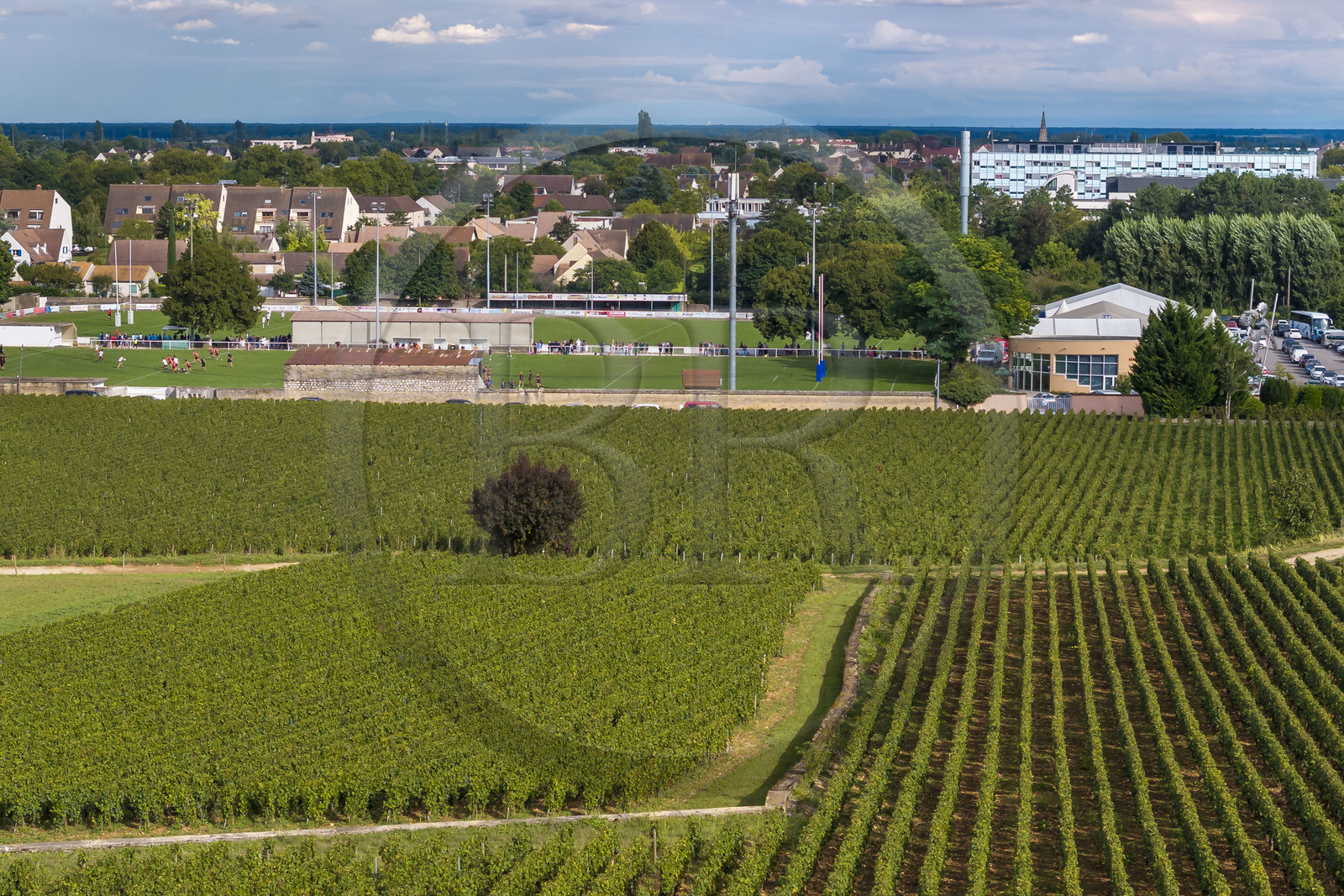 France, Côte-d'Or (21), les climats de Bourgogne classés Patrimoine Mondial de l'UNESCO, Côte de Beaune, Beaune, les parcelles de vigne bordent l'ouest de la ville, le centre hospitalier Philippe-Le-Bon des hospices civils en arrière plan à droite (vue aérienne)