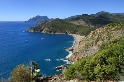 France, Corse du Sud, Golfe de Porto, listed as World Heritage by UNESCO, Bussaglia (Serriera) beach