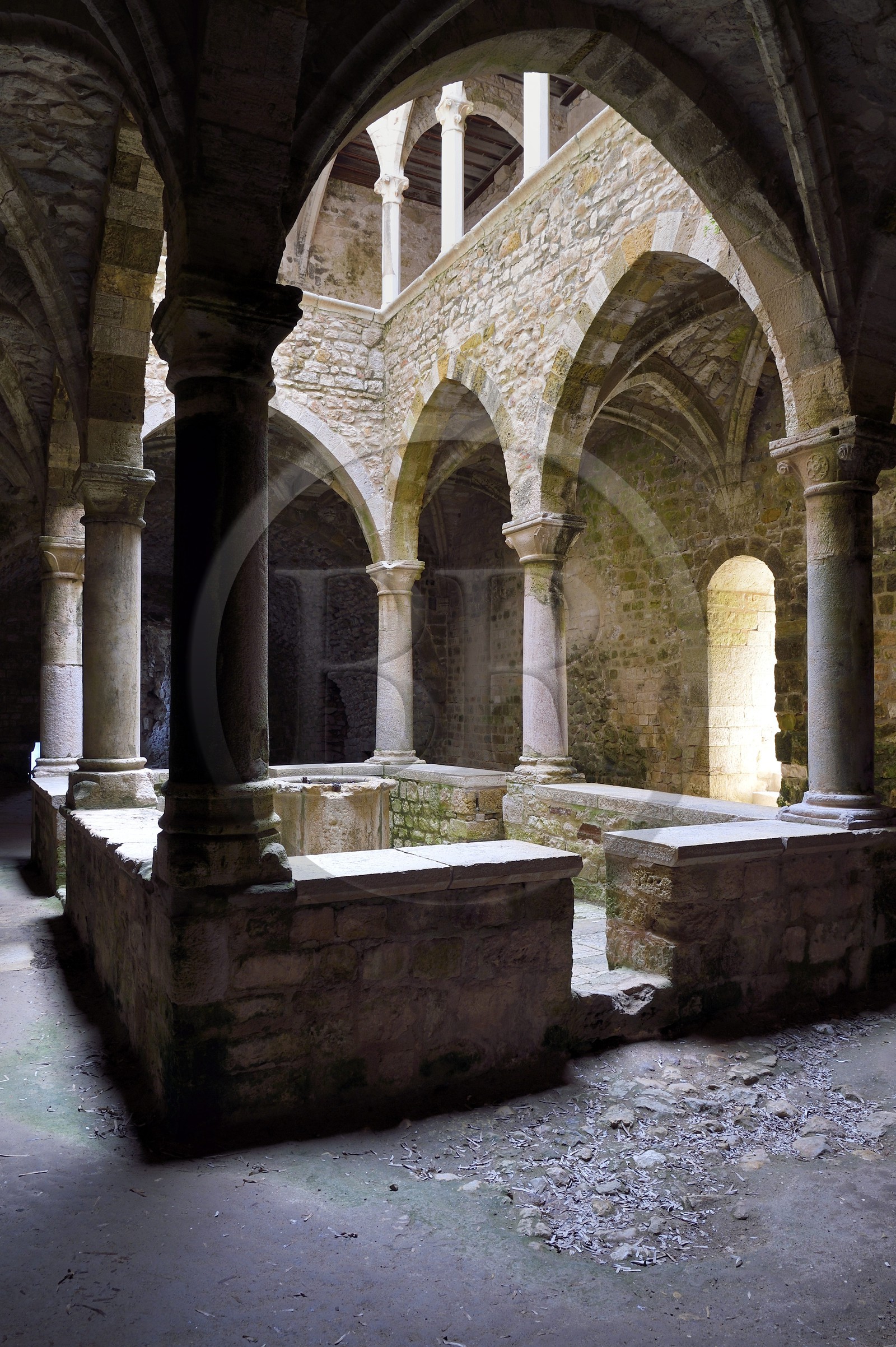 France, Alpes-Maritimes, Lerins Islands, Saint-Honorat island, Abbey of Lerins, former fortified monastery raised in 1073, the 14th century lower cloister