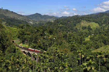 Sri Lanka, Province d'Uva, train sur la voie de chemin de fer dans la région montagneuse de la culture du thé entre Badulla et Ella, le Pont aux Neuf Arches (1921) non loin de Ella