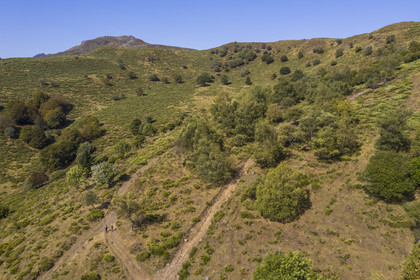 France, Cantal (15), Parc Naturel Régional des Volcans d'Auvergne, Laveissière, sur le chemin de Saint-Jacques de Compostelle par la Via Arverna, randonneurs sur les estives des pentes du Puy de Seycheuse qu'on aperçoit en arrière plan (vue aérienne)