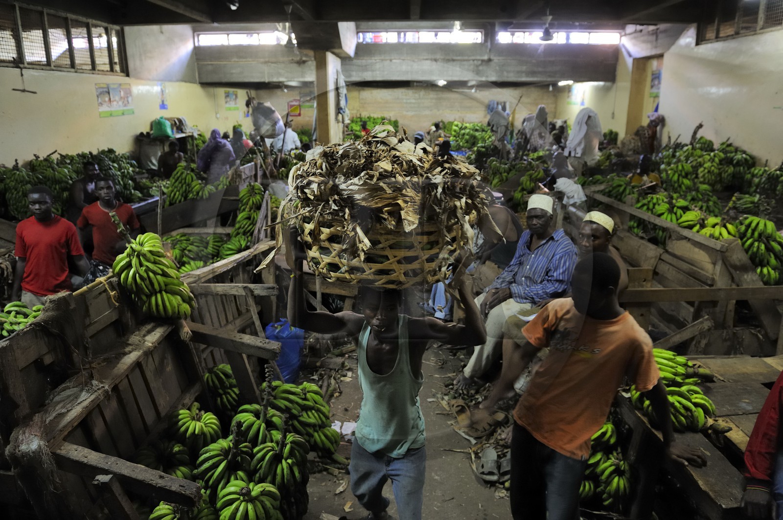 Tanzanie, Dar es-Salaam, le grand marché central de Kariakoo, la salle des bananes dans la partie basse au sous-sol