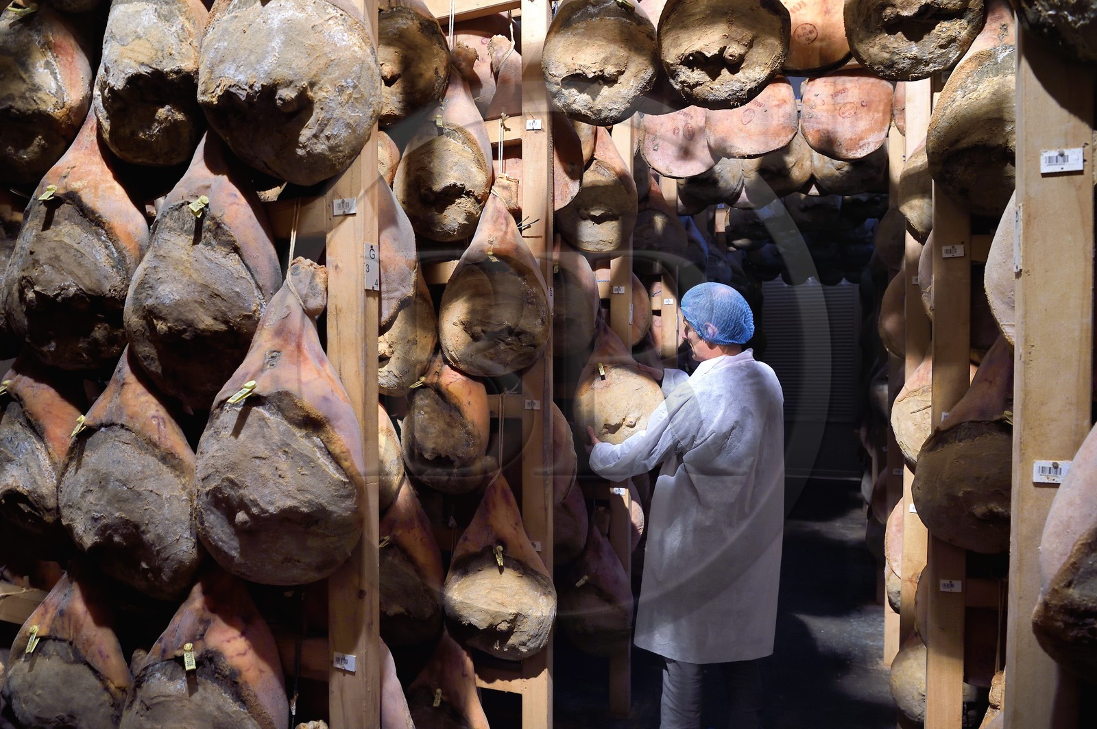 France, Pyrénées-Atlantiques (64), Pays-Basque, vallée des Aldudes, le Séchoir Collectif des Aldudes assure une prestation de séchage et l'affinage de jambons, zone de l'affinage