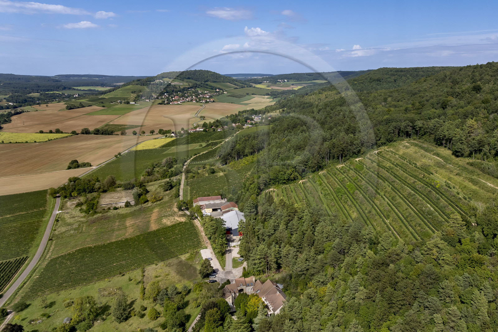 France, Cote d'Or, vineyard of the Hautes Côtes de Nuits, Villars Fontaine, Domaine de Montmain (aerial view)