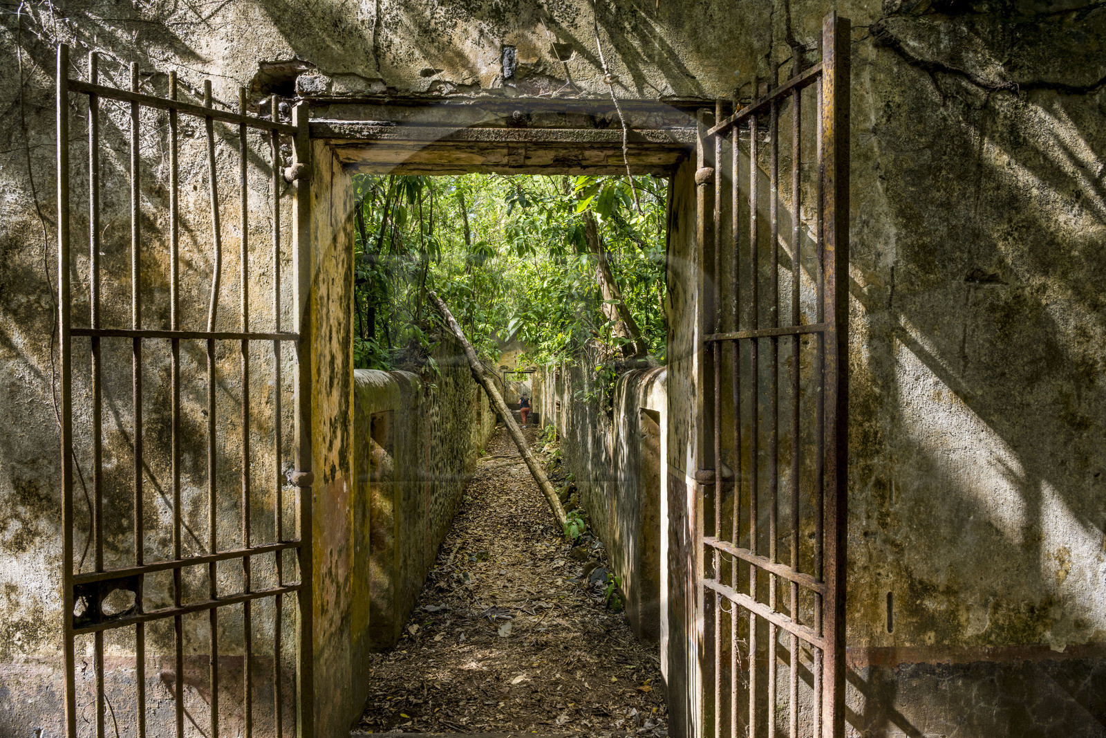 France, Guyane, Kourou, Iles du Salut, l'Ile Saint-Joseph, ruine du bagne consacré à la réclusion des prisonniers les plus difficiles