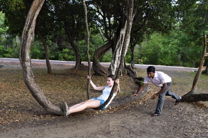 Sri Lanka, province du Centre-Nord, Polonnaruwa, l'ancienne capital du pays (XIe au XIIIe siècle), balançoire naturelle dans une branche liane