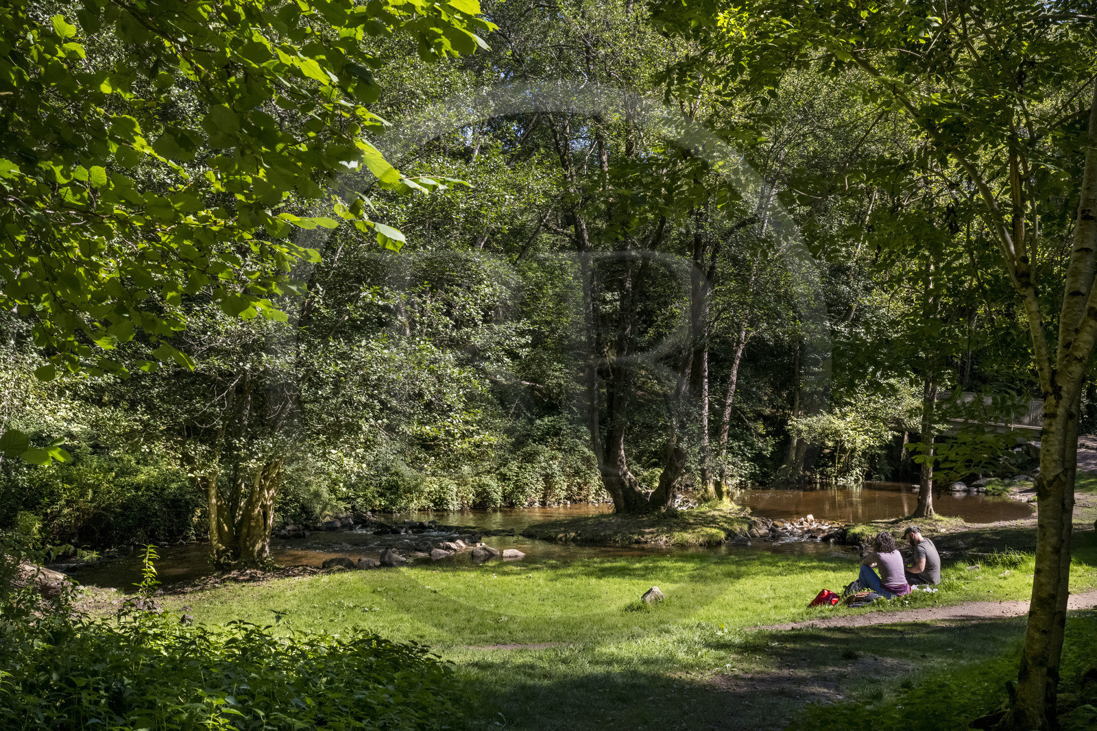 France, Nièvre (58), Parc naturel régional du Morvan, Gouloux, site du Saut de Gouloux et la rivière de la Cure