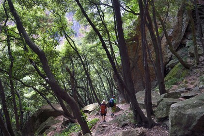 France, Var, between Bagnols en Foret and Roquebrune sur Argens, hike in the Gorges du Blavet