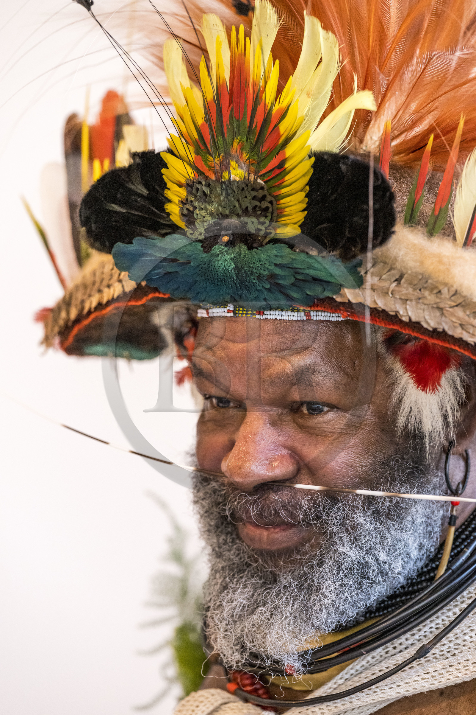 France, Paris (75), siège de l'UNESCO, le chef Papou Mundiya Kepanga