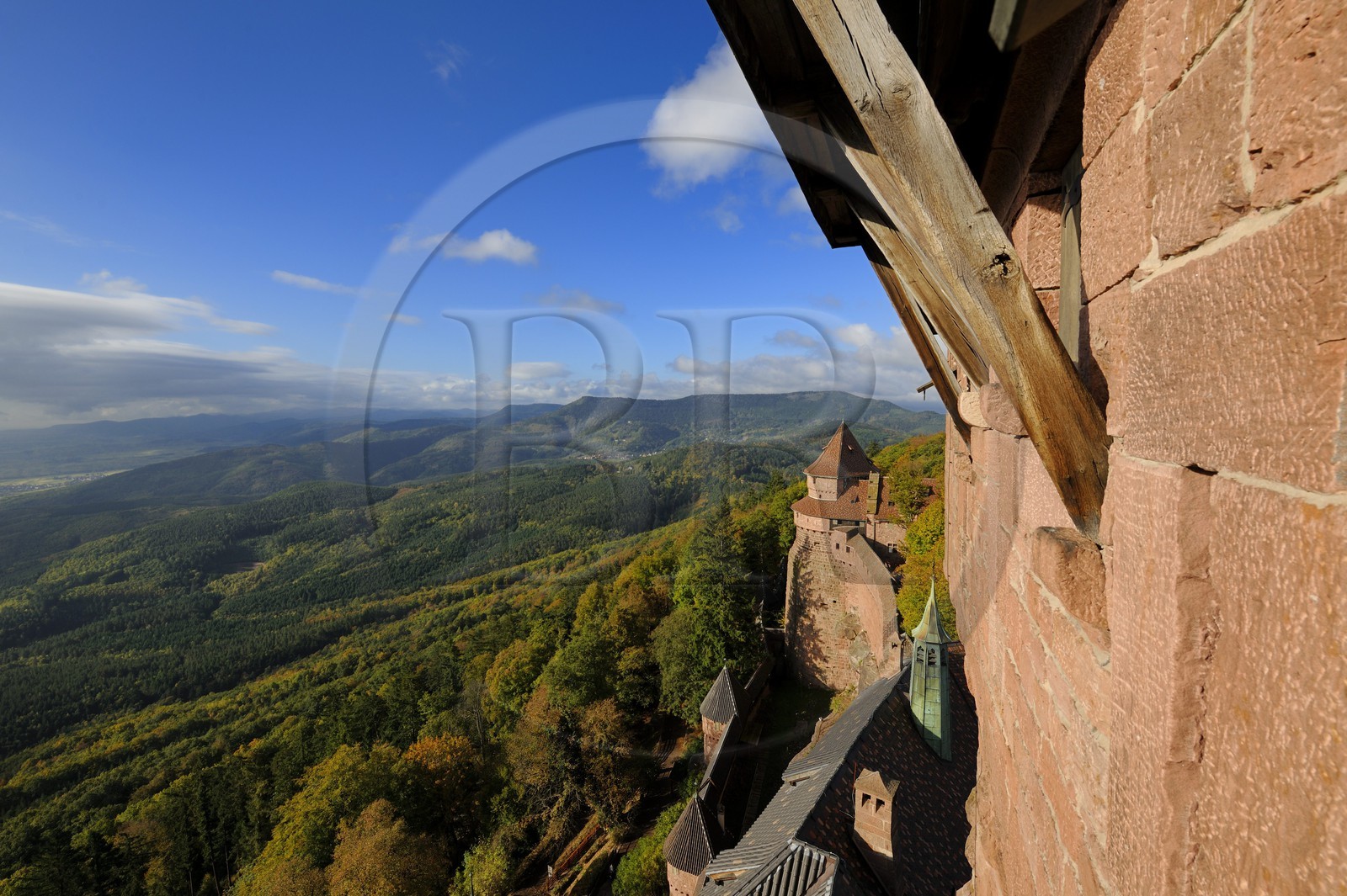 France, Bas-Rhin (67), le château du Haut-Koenigsbourg, le Grand Bastion surplombant la forêt alentours