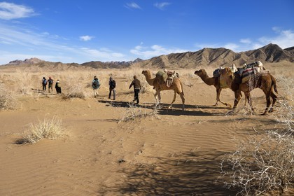 Iran, Province d'Ispahan, désert du Dasht-e Kavir, Mesr dans la région de Khur et Biabanak, caravane de dromadaires lors d'une randonnée chamelière